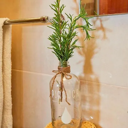 Da Paradinha: Passadicos Do Paiva - Arouca Paradinha