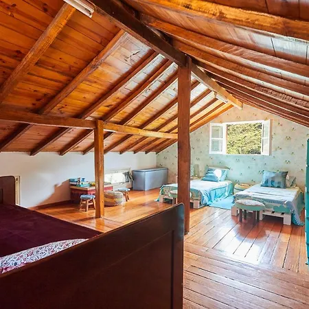 Da Paradinha: Passadicos Do Paiva - Arouca Holiday home *