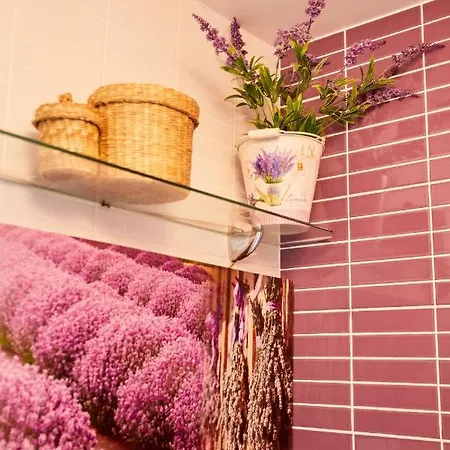 Tatil Evi Da Paradinha: Passadicos Do Paiva - Arouca Paradinha