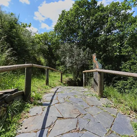 Tatil Evi Da Paradinha: Passadicos Do Paiva - Arouca Paradinha