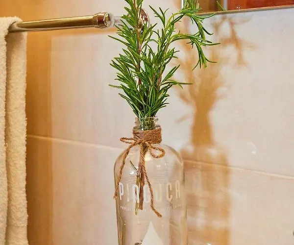 Da Paradinha: Passadicos Do Paiva - Arouca Paradinha