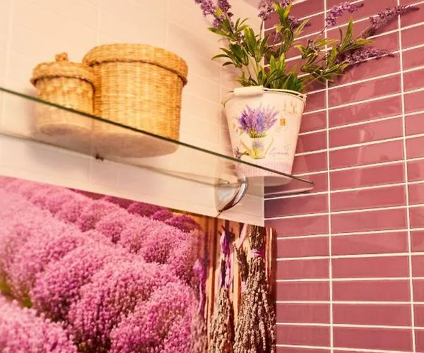 Ferienhaus Da Paradinha: Passadicos Do Paiva - Arouca Paradinha